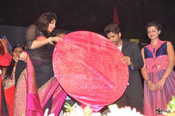 Rudramadevi Movie Audio Launch